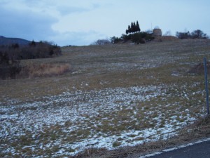 天空のピオーネ農園アグリスジャパン