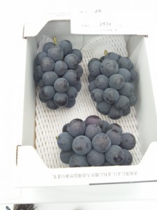 ピオーネ共進会