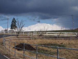 天空のピオーネ農園アグリスジャパン