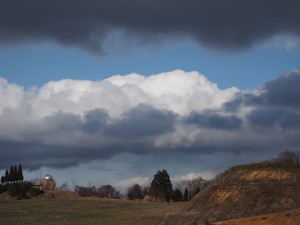 天空のピオーネ農園アグリスジャパン