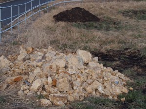 天空のピオーネ農園アグリスジャパン