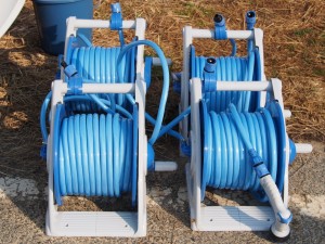 ピオーネの苗水撒き