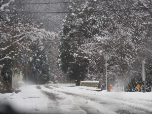 天空のピオーネ農園 今年1番の大雪
