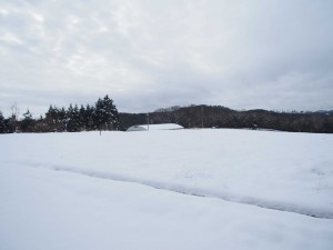 天空のピオーネ農園 今年1番の大雪
