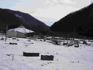 天空のピオーネ農園アグリスジャパン