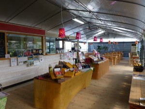 ドラゴンフルーツアグリス