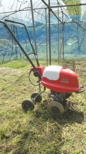 アグリスジャパン天空のピオーネ農園