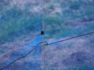 天空のピオーネ農園