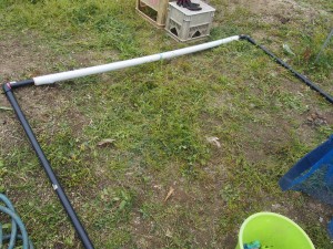 アグリスジャパン天空のピオーネ農園