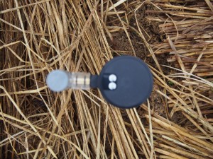 天空のピオーネ農園アグリスジャパン