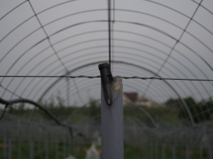 天空のピオーネ農園アグリスジャパン