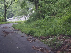 天空のピオーネ農園アグリスジャパン