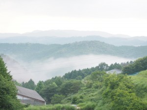 天空のピオーネ農園アグリスジャパン