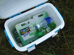 天空のピオーネ農園アグリスジャパン