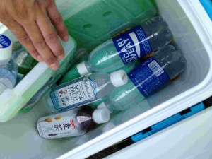 天空のピオーネ農園アグリスジャパン