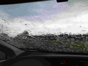 天空のピオーネ農園アグリスジャパン