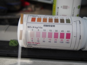 アグリスジャパン天空のピオーネ