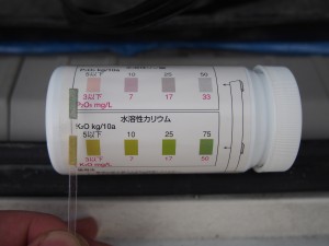 アグリスジャパン天空のピオーネ