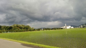 アグリスジャパン天空のピオーネ