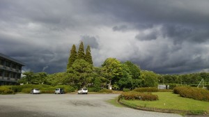 アグリスジャパン天空のピオーネ