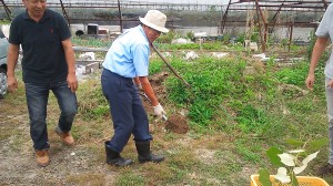 アグリスジャパン天空のピオーネ農園
