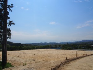 岡山吉備中央町ぶどうピオーネ