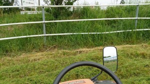 岡山吉備中央町ぶどうピオーネ