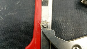 岡山吉備中央町ぶどうピオーネ