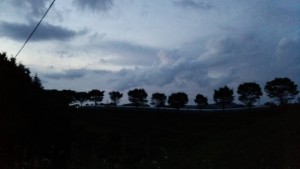 岡山吉備中央町ぶどうピオーネ