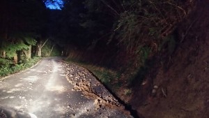 岡山吉備中央町ぶどうピオーネ