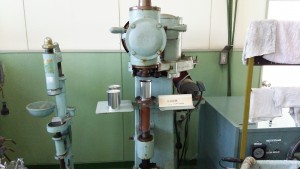 岡山吉備中央町ぶどうピオーネ