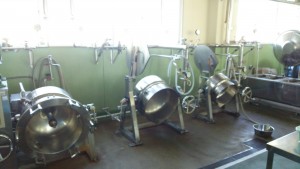 岡山吉備中央町ぶどうピオーネ