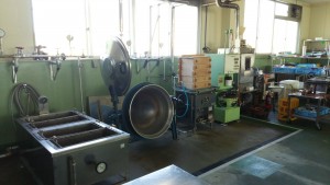 岡山吉備中央町ぶどうピオーネ