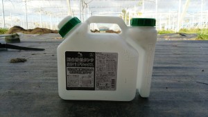 岡山吉備中央町ぶどうピオーネ