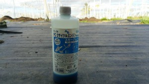 岡山吉備中央町ぶどうピオーネ