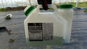 岡山吉備中央町ぶどうピオーネ