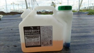 岡山吉備中央町ぶどうピオーネ