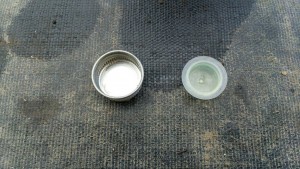 岡山吉備中央町ぶどうピオーネ