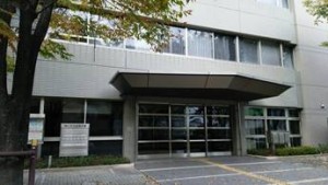 岡山吉備中央町ぶどうピオーネ