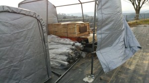 岡山吉備中央町ぶどうピオーネ