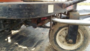 岡山吉備中央町ぶどうピオーネ