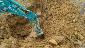 岡山吉備中央町ぶどうピオーネ