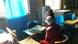 岡山吉備中央町ぶどうピオーネ