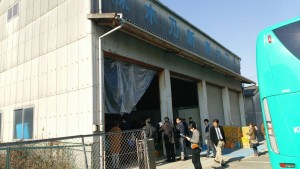 岡山吉備中央町ぶどうピオーネ