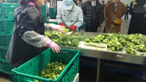 岡山吉備中央町ぶどうピオーネ