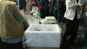 岡山吉備中央町ぶどうピオーネ