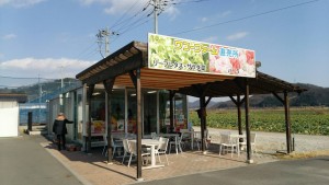 岡山吉備中央町ぶどうピオーネ