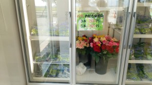 岡山吉備中央町ぶどうピオーネ