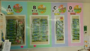 岡山吉備中央町ぶどうピオーネ