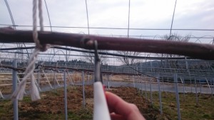 DSC_0242 (640x360) (640x360)